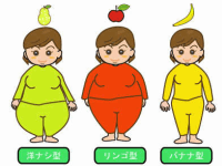 肥満の分類